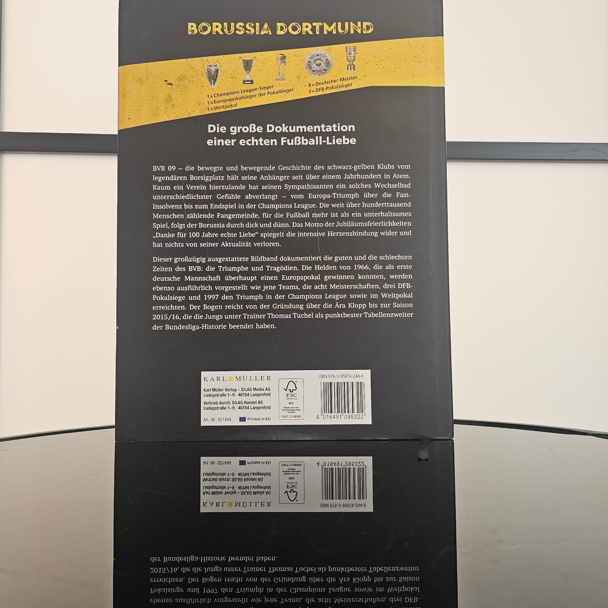 Borussia Dortmund Echte Fußball - Liebe